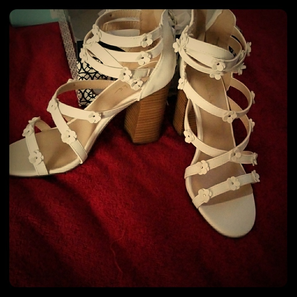 Designer Shoes